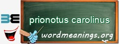 WordMeaning blackboard for prionotus carolinus